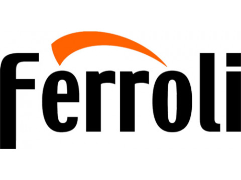 Ремонт дизельного котла Ferroli