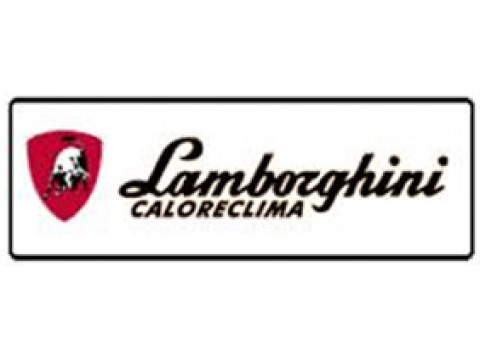 Ремонт дизельного котла Lamborghini
