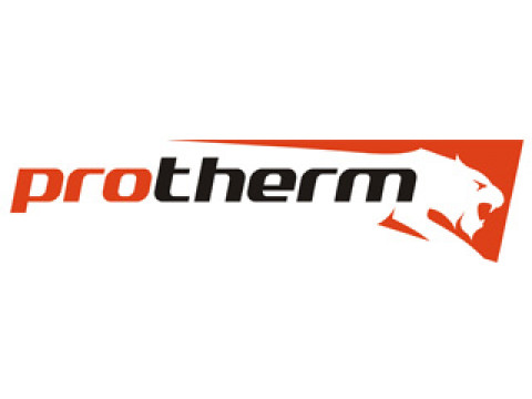 Ремонт котлов Protherm